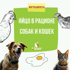 ������ � ����� ��� ��� ����� � �����