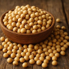 ������ ��� � ������� ������� ����� �������