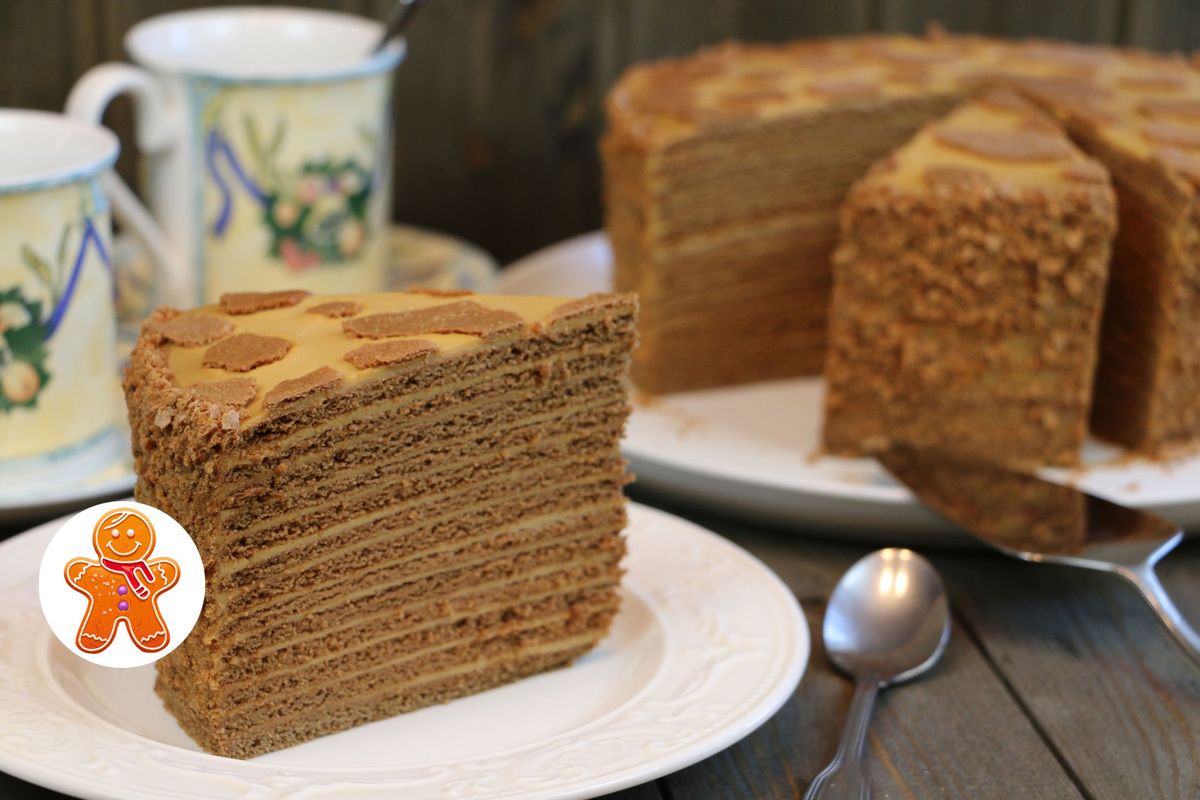 ��� ����������� ������ ������� ���� "�������": ��������� ������