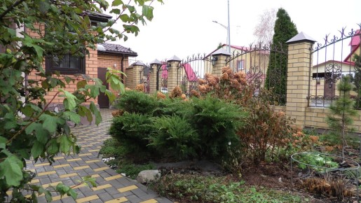 ������������ ��������: ������� ����� � ��� ���������� �����������