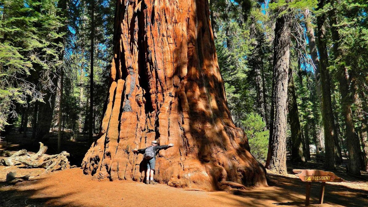 ������� �������: ����� ������������ ������� ����� �������� � ����������