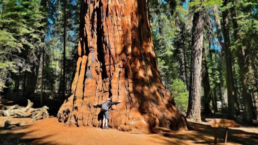 ������� �������: ����� ������������ ������� ����� �������� � ����������