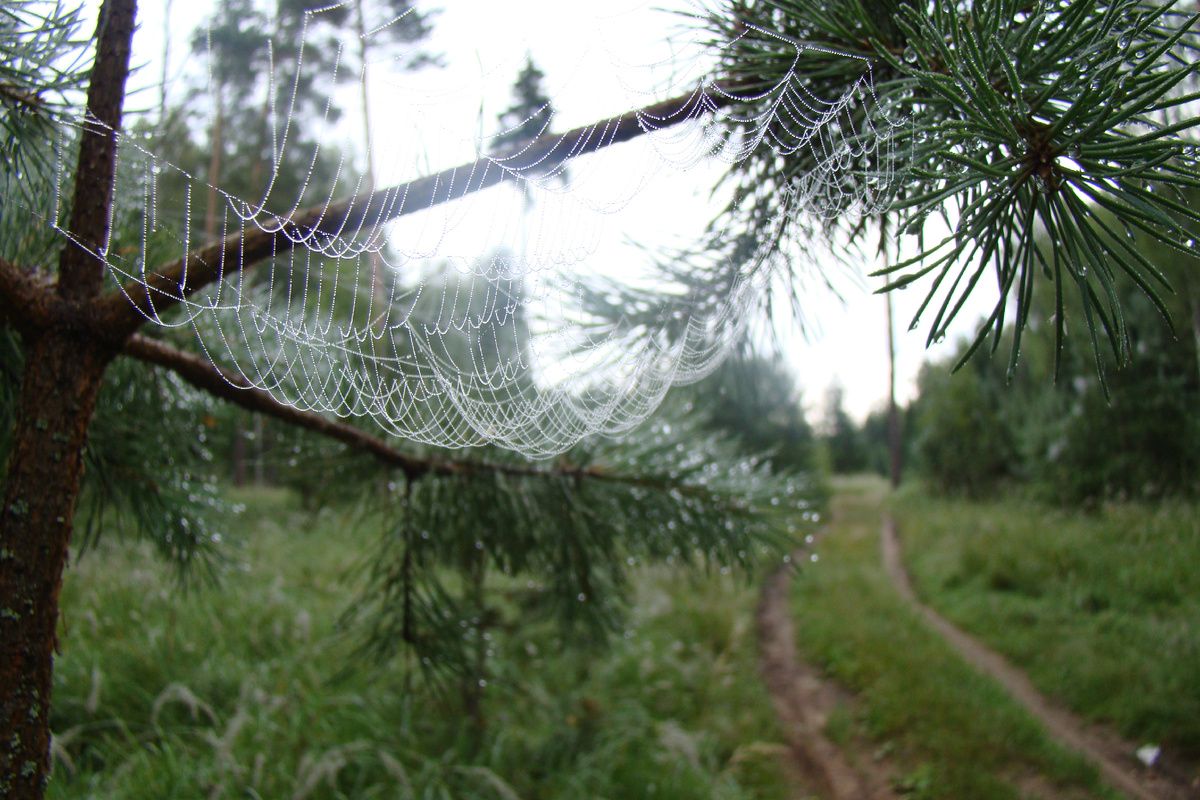 �������� ���� ������: ������� ����� � �������