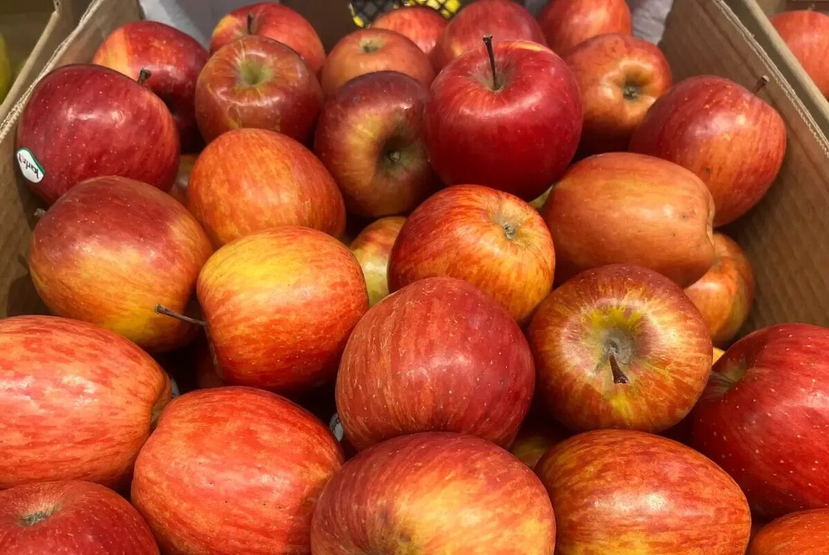 Когда лучше всего наслаждаться яблоками, чтобы держать аппетит под контролем?