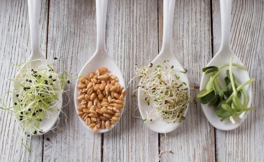 ����������� � ���������: ��� ��� ���������� � ��� �������?