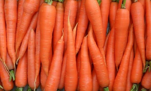 ������� �� �������: ������� ��������� ������ � �������