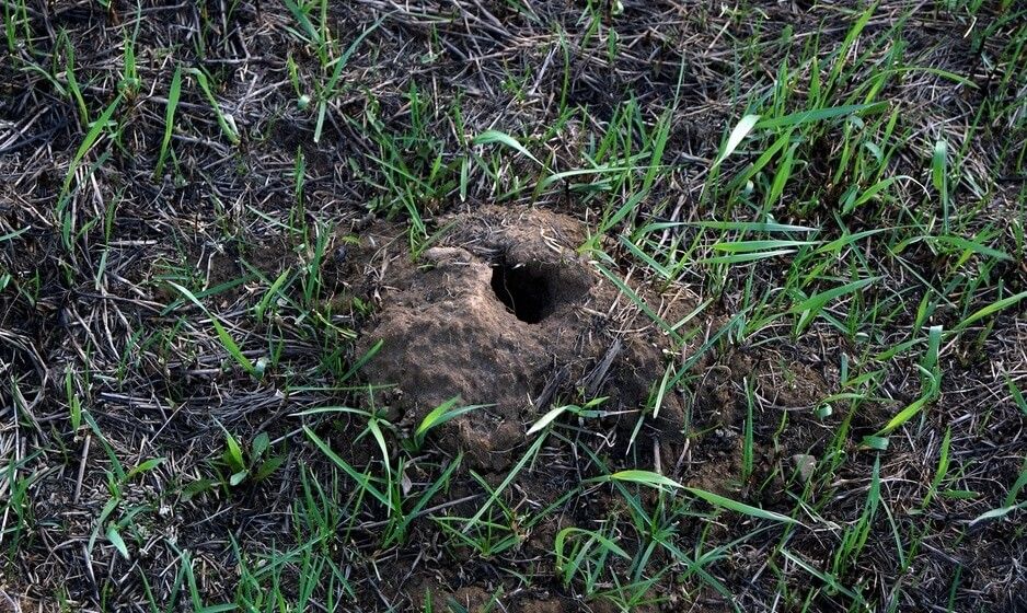 ��� ������ ������� ������ �� ��������� � ������: ������������ ������� �������