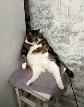 ������ �� ����!