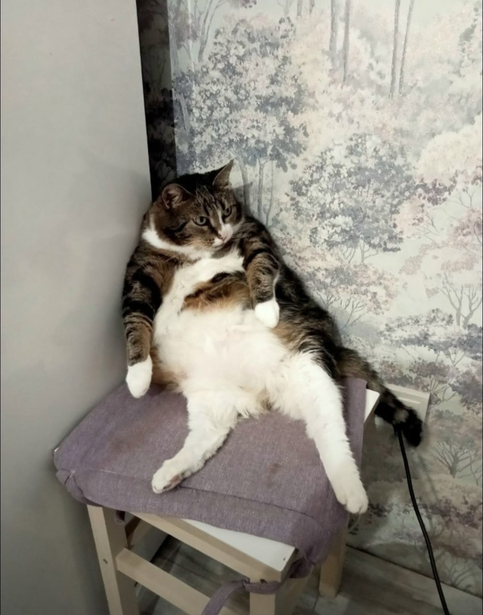 Привет от Моти!