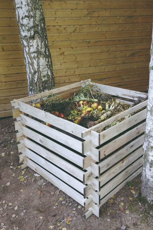 ����� �����: ��� ����� � �� ����� ��������� � �������