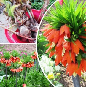 ������� ����� �� ������������� ��������