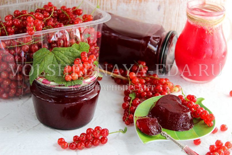 Желе из красной смородины на зиму: густое, яркое и полезное заготовление