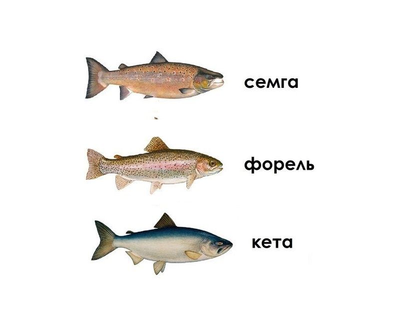 ��� ��������� �������� ������� ����: ������� � ������