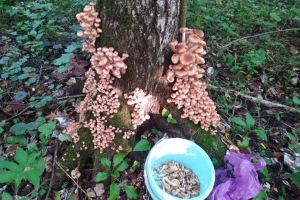 ������� ��� � ��������� ������: ������� ������ �������� 12 ����� ����