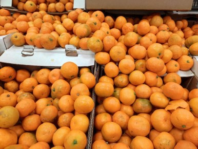 Сезон абхазских мандаринов: как не попасться на удочку мошенников