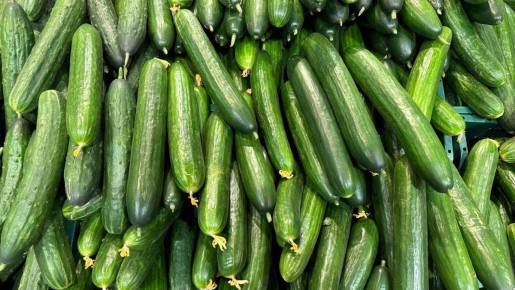 ������� ������: ����������� ������������, ������� ������� ���� ������������� � �������