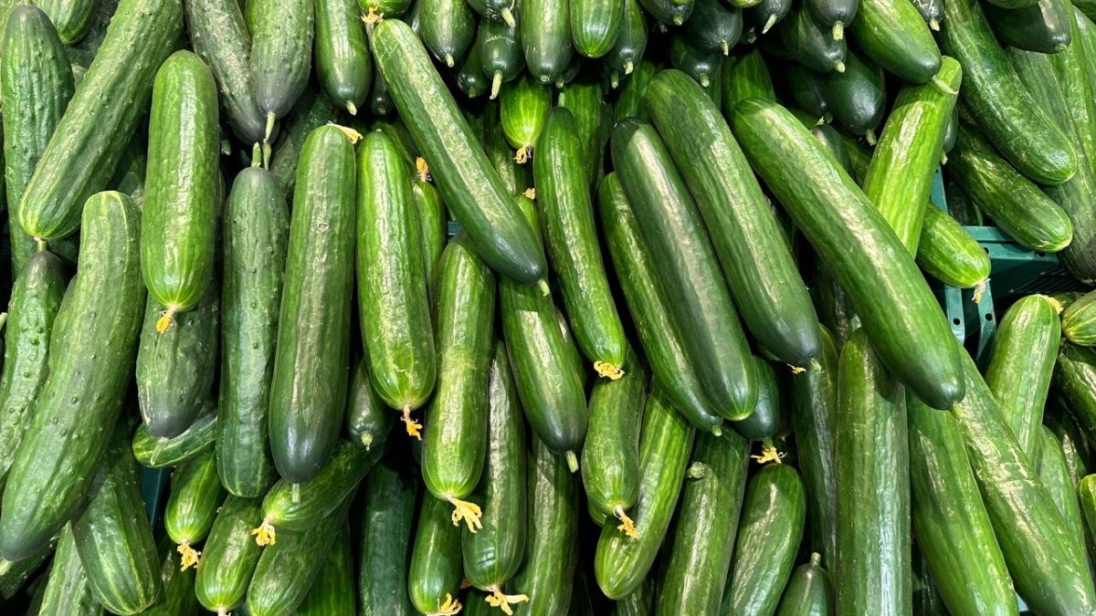 Соленые огурцы: неожиданные преимущества, которые изменят ваше представление о закуске