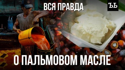 ��������� �����: ���������� ���� � �����