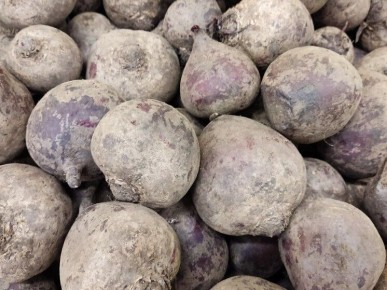 ���������� ������ �������� �������� ����� � ������