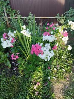 �� ����� ��������� ���� ����-�����: ��� ����� �� ������ �����?