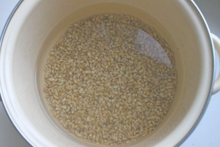 ����������� ����� � ���������: ��������� ��������� ��� ������ �����