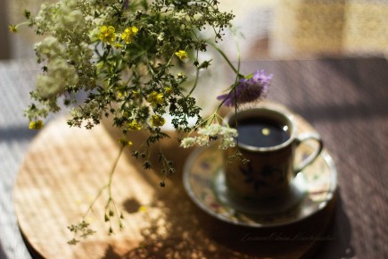 ����������� ����������� �������� ������ ����