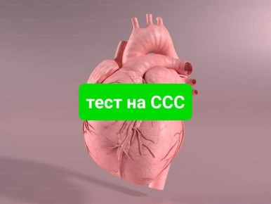 ��� ��� ���� � ����������