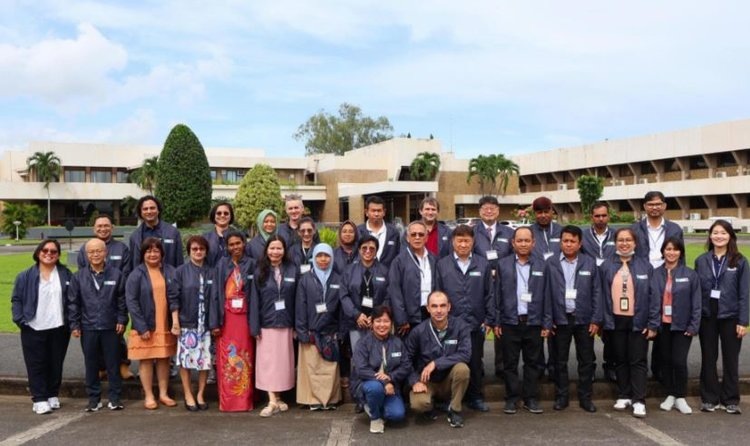 Климатоустойчивые сорта риса: новое будущее для аграриев