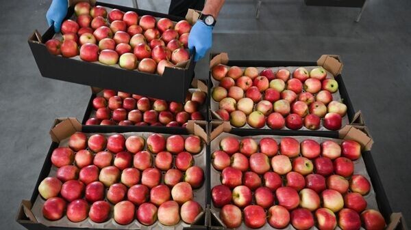 ������� ����� ����������������: ������ ������� �� ������������