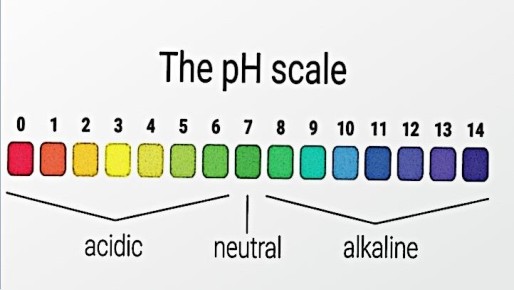 ��� ������� �������� ������: ������� ������ ��� ��������