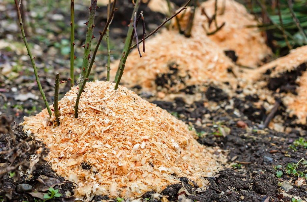 ������ ��������� � �����: ��������� ������ �� ����� � �������