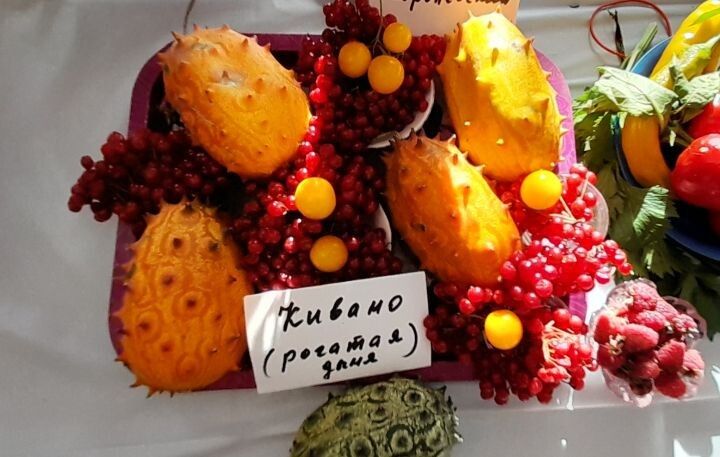 �������� � ������: �������� ����������� ������������� � ������