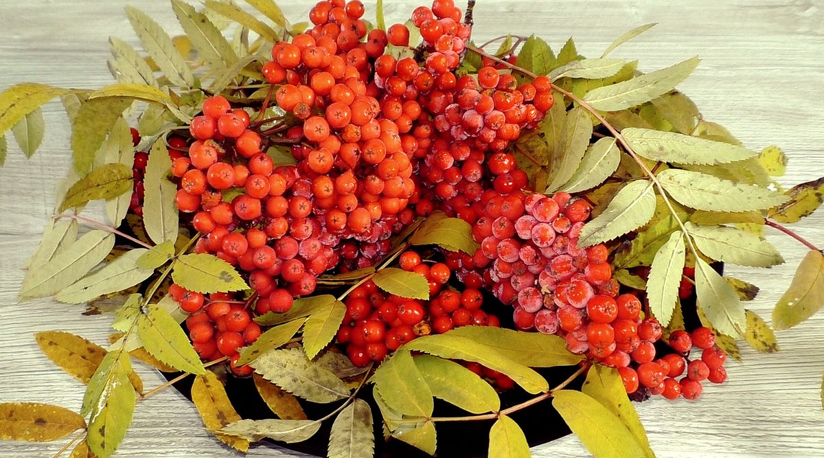 ������ �� ����: ��� ��������� ������ ��� �����