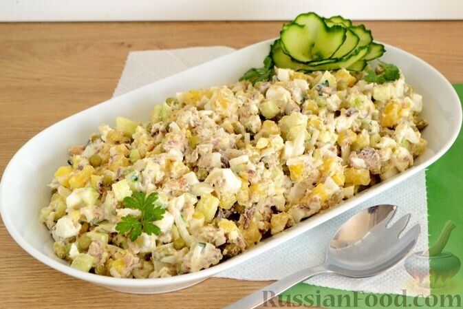 ����� ���������������� ����: ������������ ������ ������