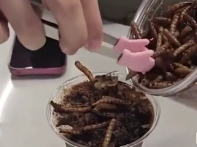 ���� � ����������: �������, ������� ����������� �����