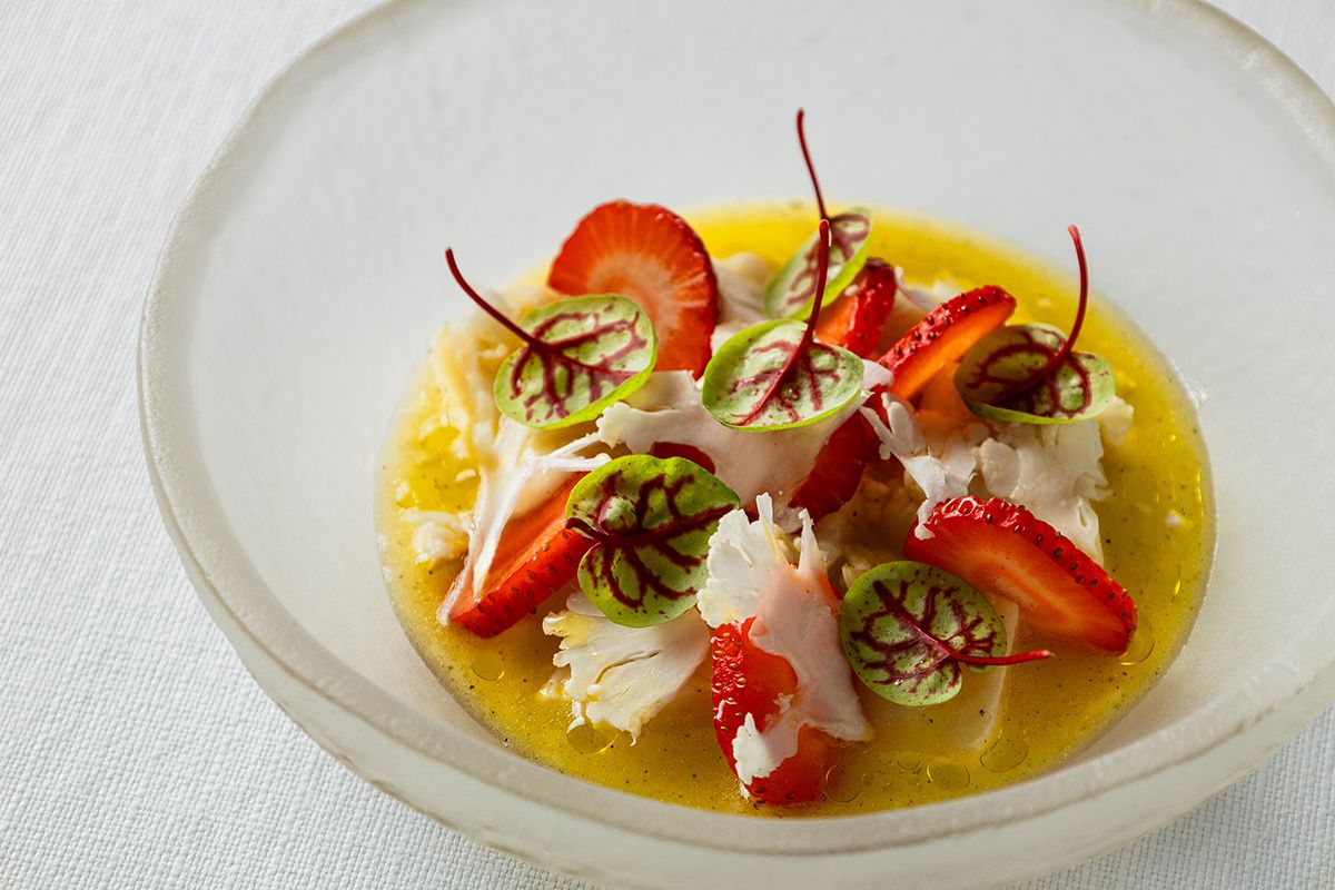 ������������ ����� �� ������� �� �������� ����� ����������