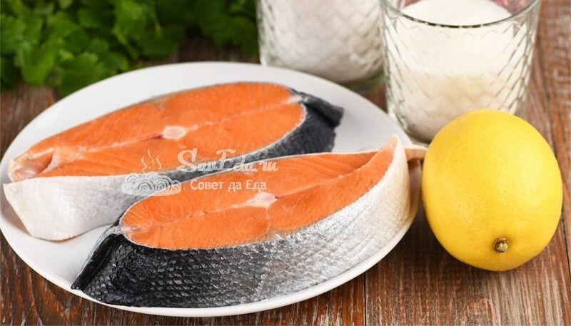 ���� �������� ��������� ������� ������� ����