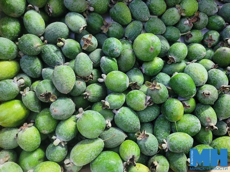 ������� �����: ��� ������ �� ��������� � ��� �������� ����