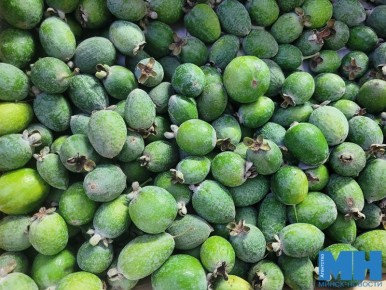 ������� �����: ��� ������ �� ��������� � ��� �������� ����