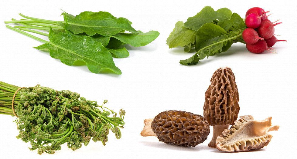 �������� ���� ������: ��� ����� ����������� �� �����