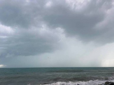 ������ ���������� ������������� ���� �� ����������: ��������� ������