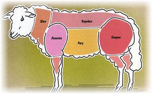 ��� ������ �������� � ����������� ��������� �����������