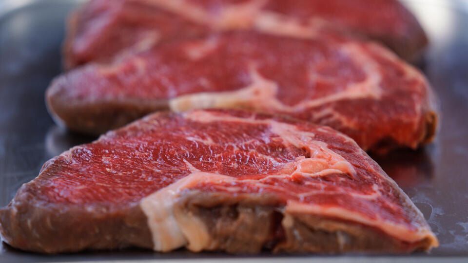 ������ ��������� �����: ������ �������� ��� ������������ ��������� ��� ��������