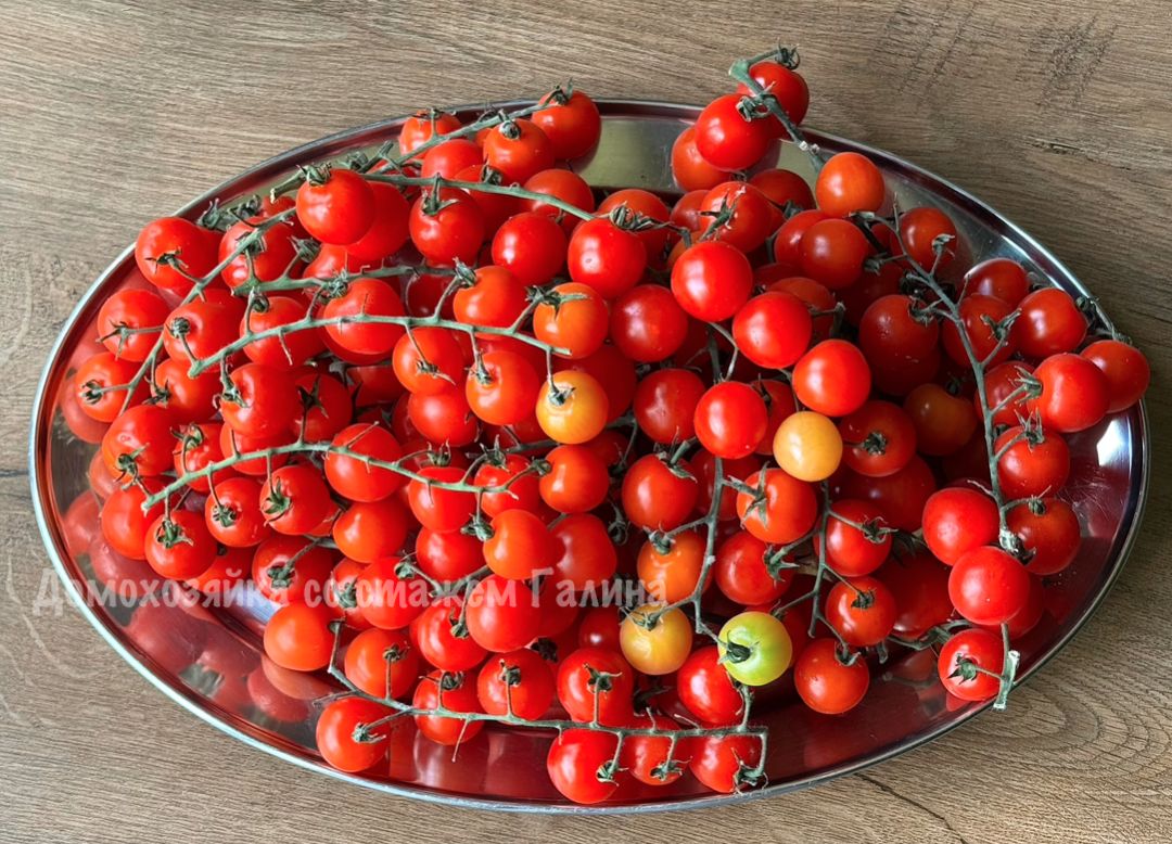 �������� ����� � ������ ��������: ����� ���� ��� ������ �����