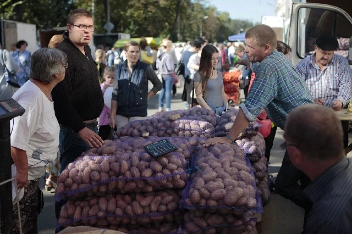 ��� ��������� ������������ ����������� ���������