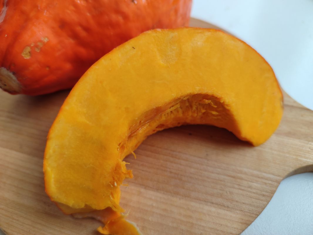 ������ ���� ��� ���� �����: ������� ������� � ������� ����