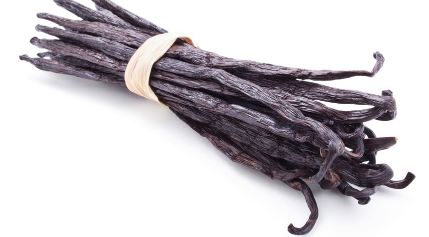 ��������� ������������: ������ ������� ������� �� ������ ����������� ��������