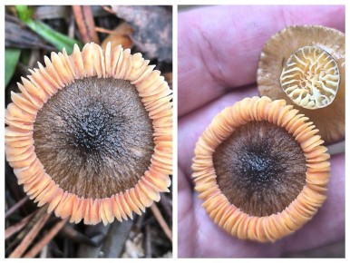 ���������� ���� ���������� ����-��������� � ����� ���������� ������