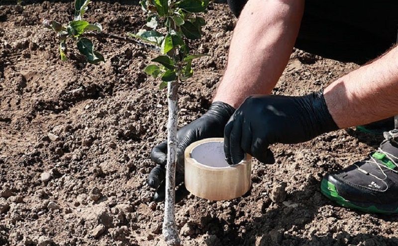 ��� ���������� �� �������� � ���: �������� � ������� � �����, ������� ��������