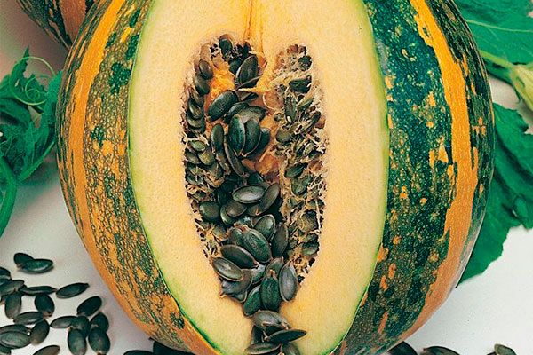 �������� ����������� � �������� ����� ����������